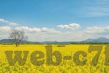 彩票宝足球比分直播-彩票宝足球比分直播，球迷的实时观赛新体验