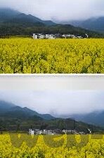 牛欢喜微信炸金花群-牛欢喜微信炸金花群，线上娱乐的新潮流